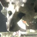 Nuevo trailer para The Last Guardian.